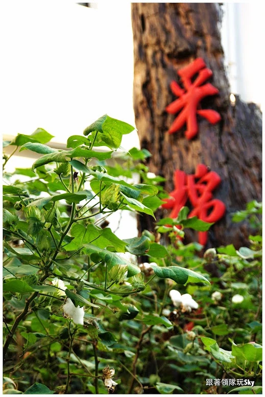 南投景點推薦-竹山鎮棉被工廠【采棉居寢飾文化觀光工廠】 南投景點推薦-竹山鎮棉被工廠【采棉居寢飾文化觀光工廠】