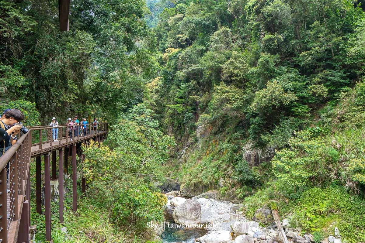 【八仙山森林遊樂區】台中親子景點推薦.和平天空步道 【八仙山森林遊樂區】台中親子景點推薦.和平天空步道