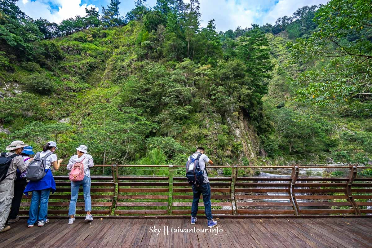 台中住宿推薦【台中商旅八仙山莊】和平原木小木屋