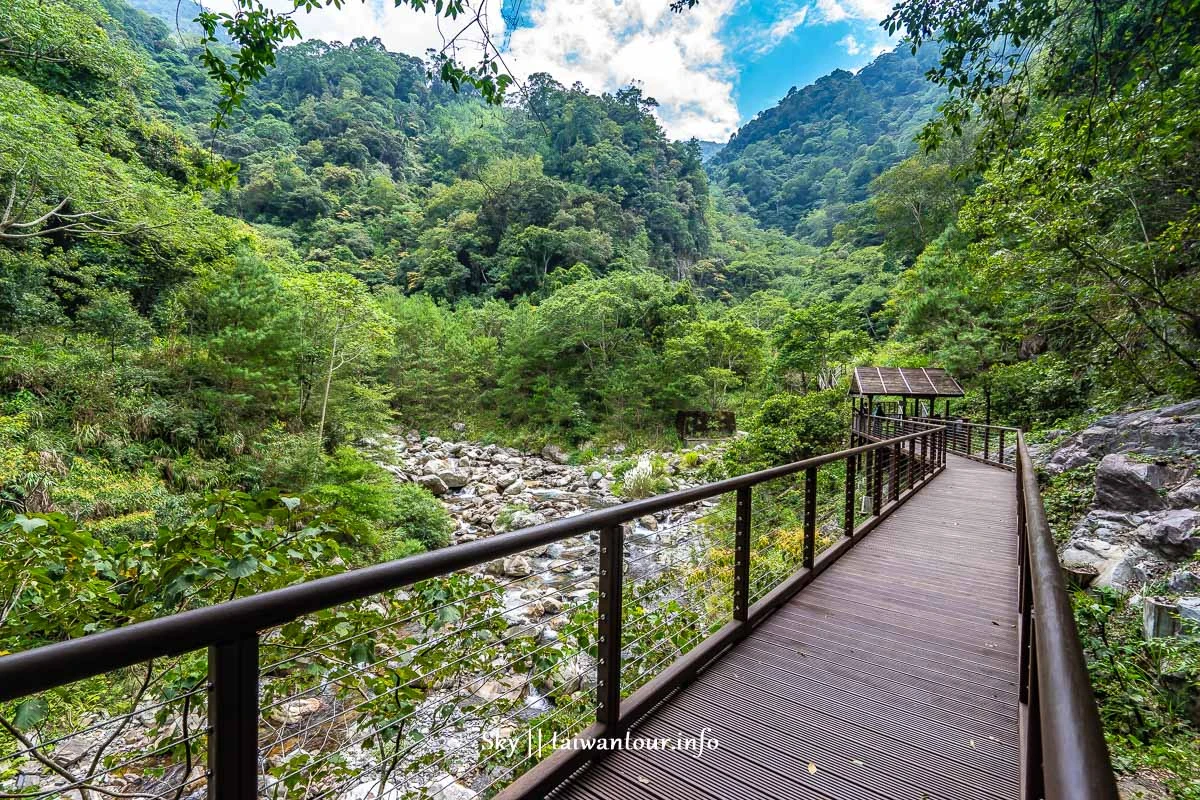【八仙山森林遊樂區】台中親子景點推薦.和平天空步道 【八仙山森林遊樂區】台中親子景點推薦.和平天空步道