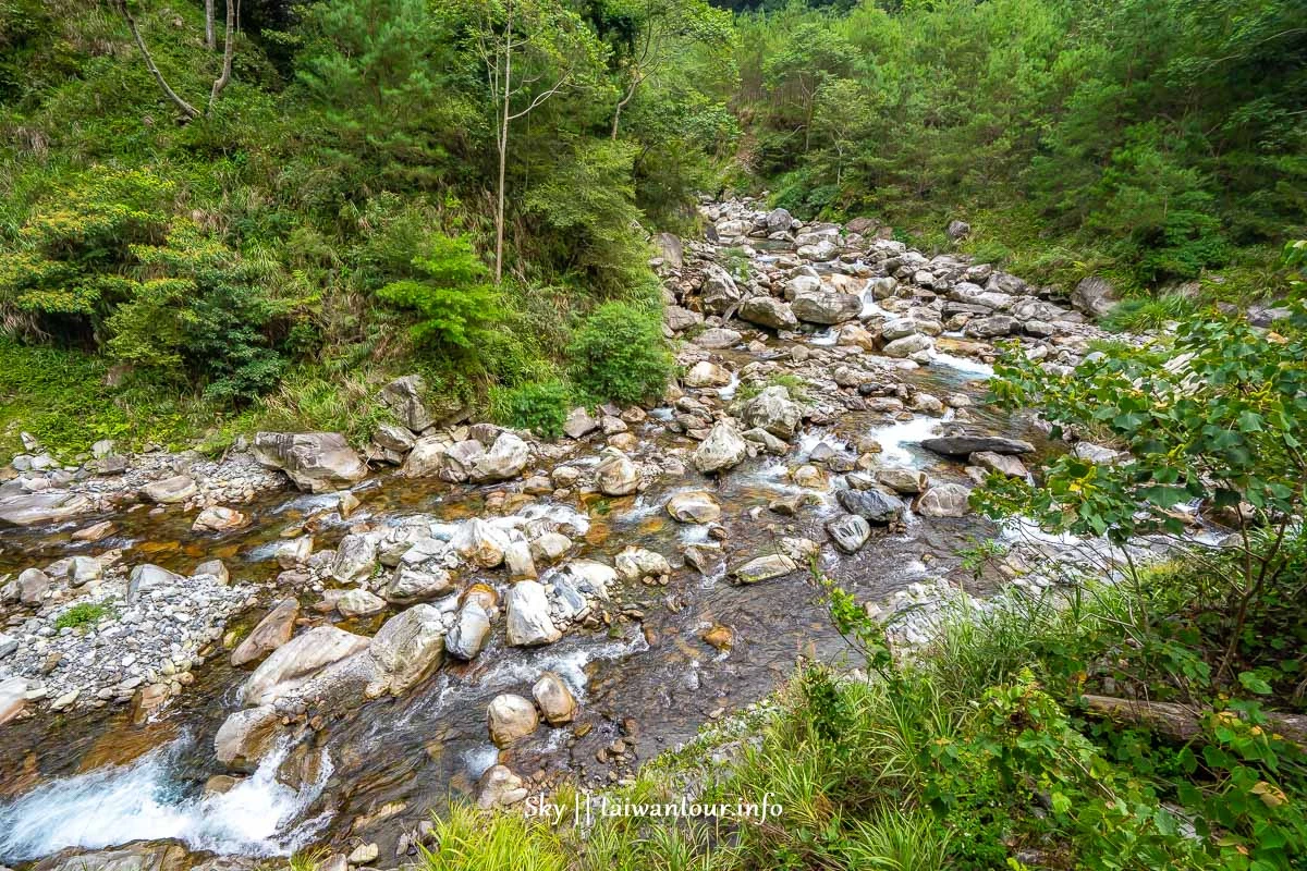 【八仙山森林遊樂區】台中親子景點推薦.和平天空步道 【八仙山森林遊樂區】台中親子景點推薦.和平天空步道