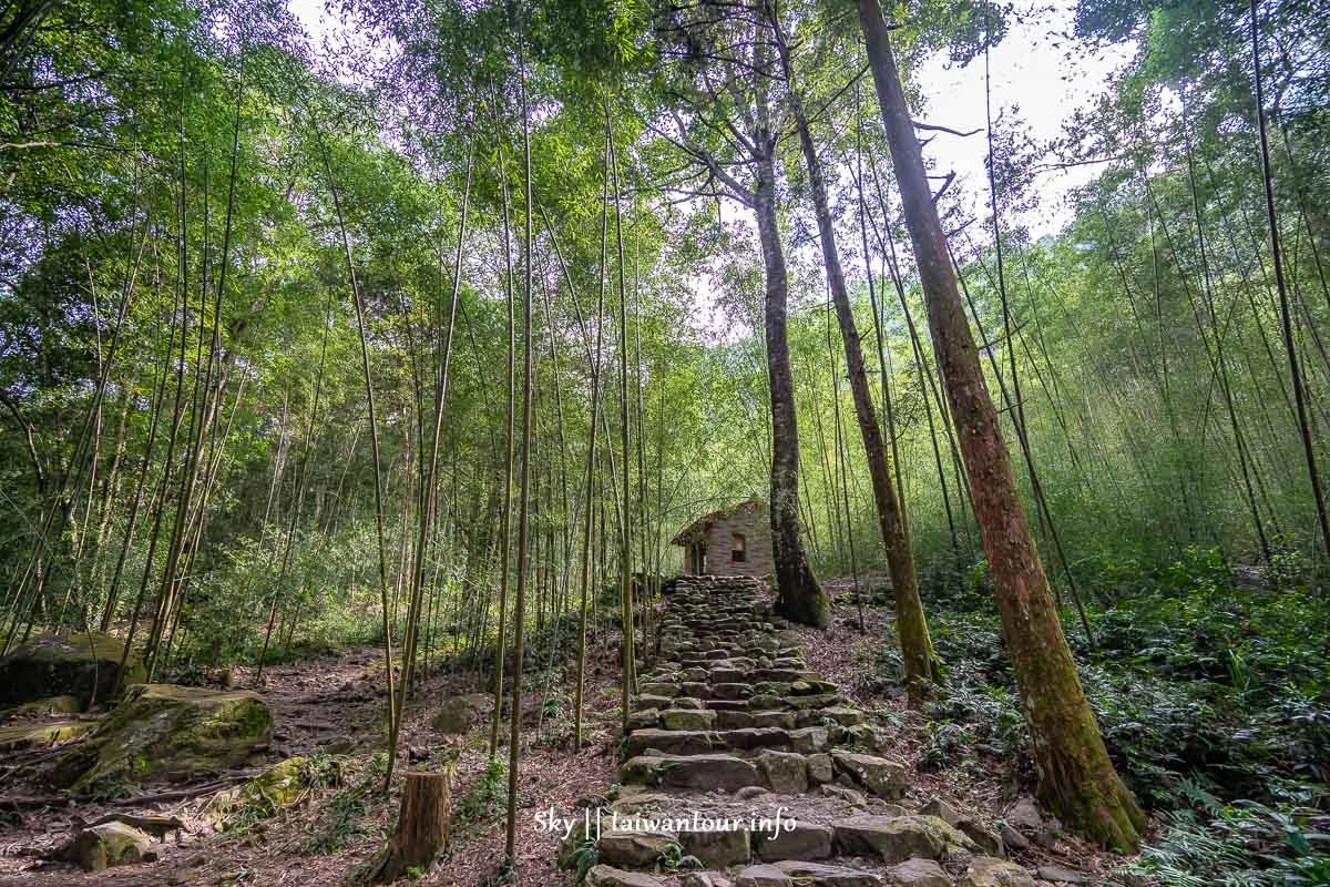 【八仙山森林遊樂區】台中親子景點推薦.和平天空步道 【八仙山森林遊樂區】台中親子景點推薦.和平天空步道