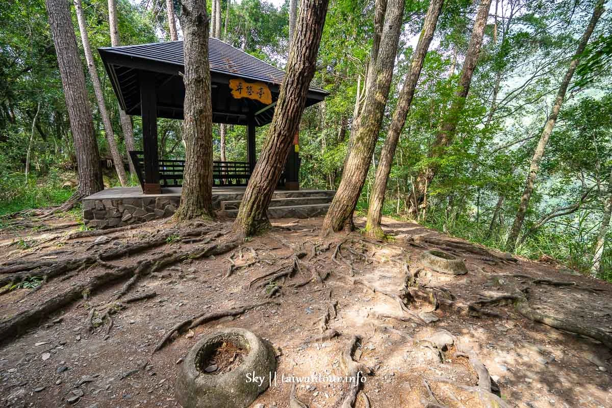 【八仙山森林遊樂區】台中親子景點推薦.和平天空步道 【八仙山森林遊樂區】台中親子景點推薦.和平天空步道