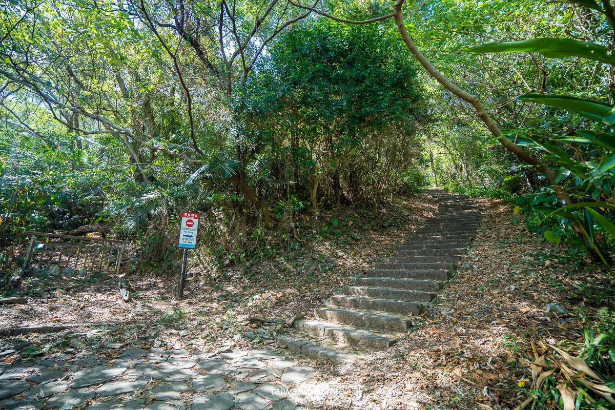 【七星嶺步道】宜蘭蘇澳秘境景點推薦