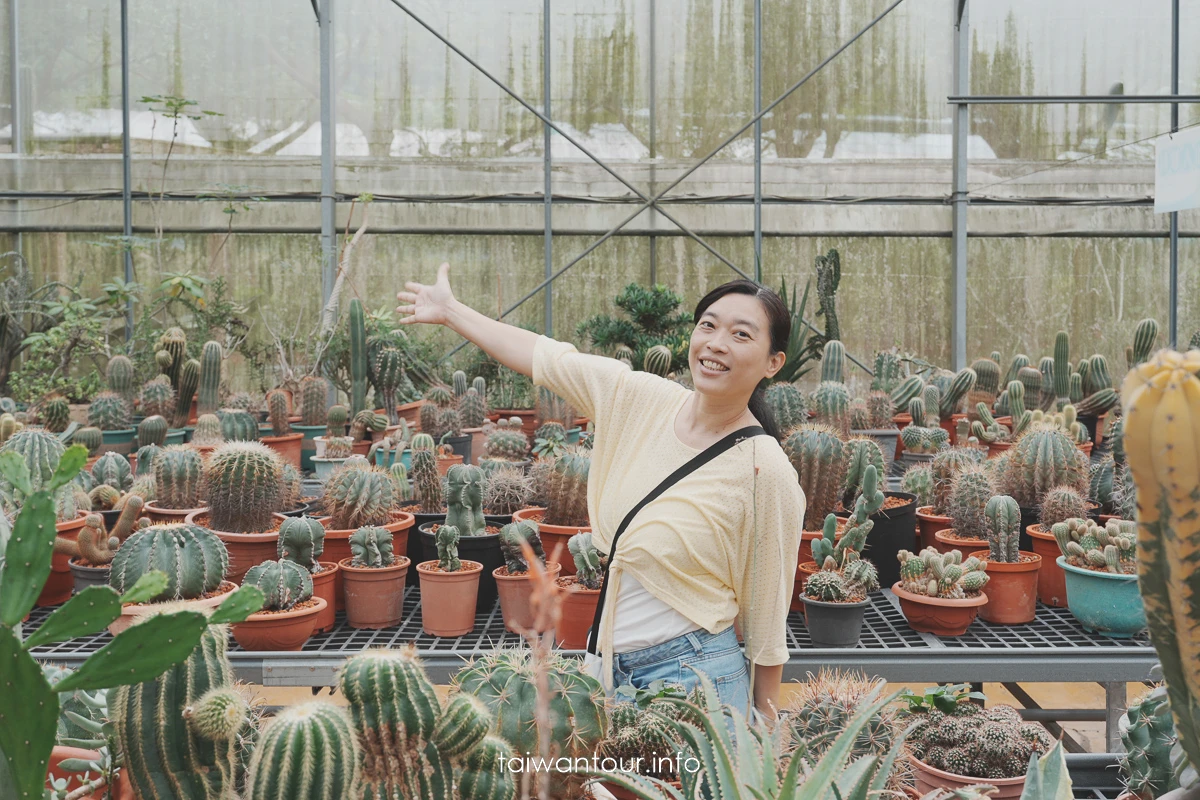 【福祥仙人掌多肉植物園】新埔親子半日遊怎麼玩 【福祥仙人掌多肉植物園】新埔親子半日遊怎麼玩