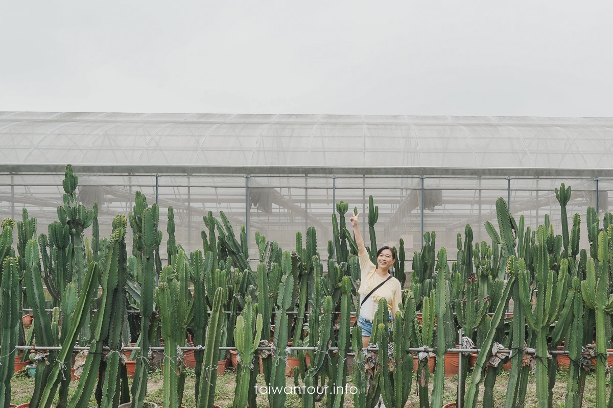 【福祥仙人掌多肉植物園】新埔親子半日遊怎麼玩 【福祥仙人掌多肉植物園】新埔親子半日遊怎麼玩