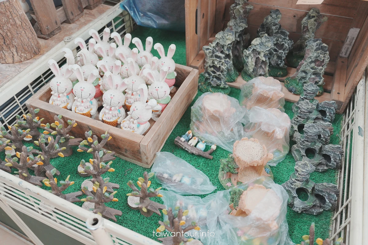 【福祥仙人掌多肉植物園】新埔親子半日遊怎麼玩 【福祥仙人掌多肉植物園】新埔親子半日遊怎麼玩