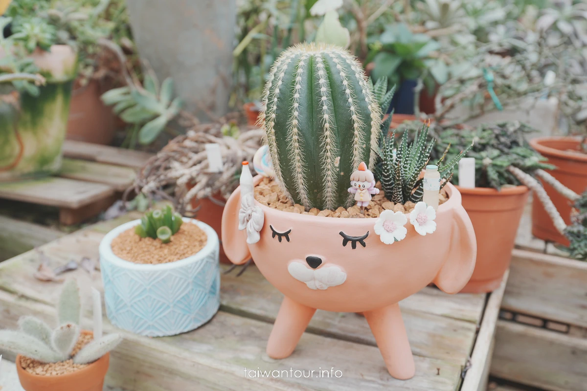 【福祥仙人掌多肉植物園】新埔親子半日遊怎麼玩 【福祥仙人掌多肉植物園】新埔親子半日遊怎麼玩