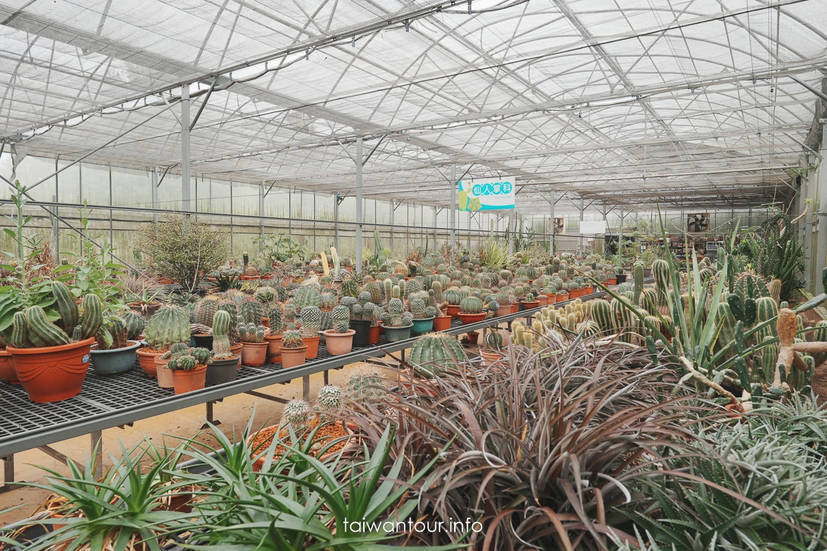 【福祥仙人掌多肉植物園】新埔親子半日遊怎麼玩