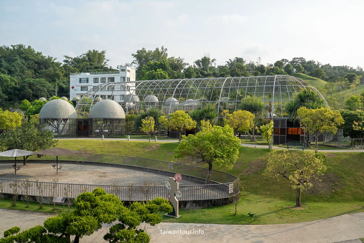 【九九峰動物樂園】南投草屯景點.巨型天網鳥籠.台版侏儸紀恐龍丘
