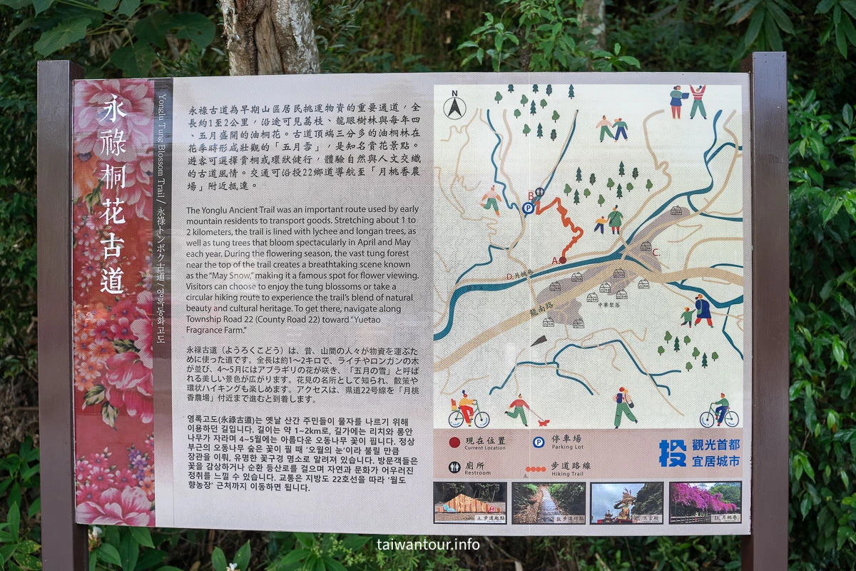 【永祿桐花古道】南投中寮鄉親子步道推薦