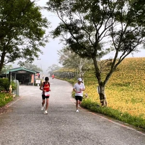 金黃花海迎熱血跑者！花蓮富里六十石山超半馬登場　27名國際跑者共襄盛舉