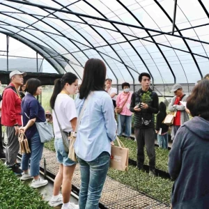 探秘粉紅溫室與產地日常 新北萬金杜鵑秋季小旅行開放報名