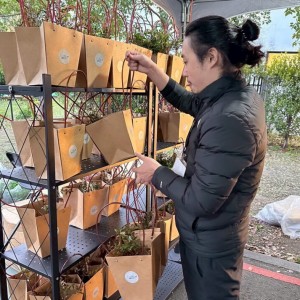 新北植樹微電影競賽開跑　邀全民用鏡頭記錄綠色故事