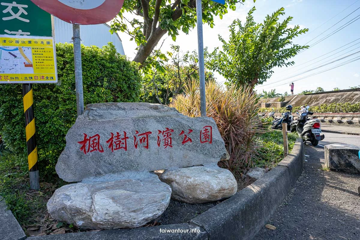 2026【楓樹河濱公園】泰山蒜香藤花季.交通怎麼去 2026【楓樹河濱公園】泰山蒜香藤花季.交通怎麼去