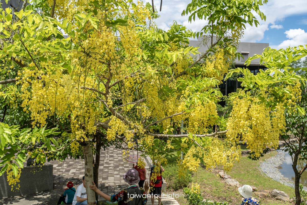 【福興溫泉親子公園.遊客中心】埔里旅遊景點.免費溫泉 【福興溫泉親子公園.遊客中心】埔里旅遊景點.免費溫泉