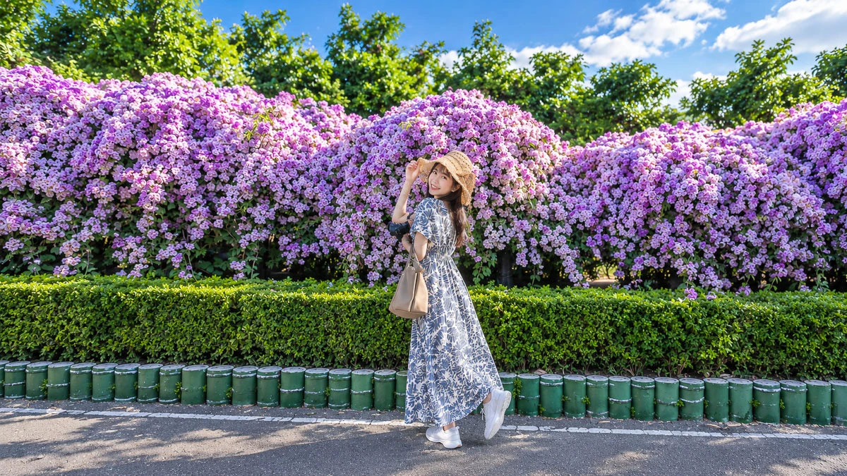 2026【楓樹河濱公園】泰山蒜香藤花季.交通怎麼去 2026【楓樹河濱公園】泰山蒜香藤花季.交通怎麼去