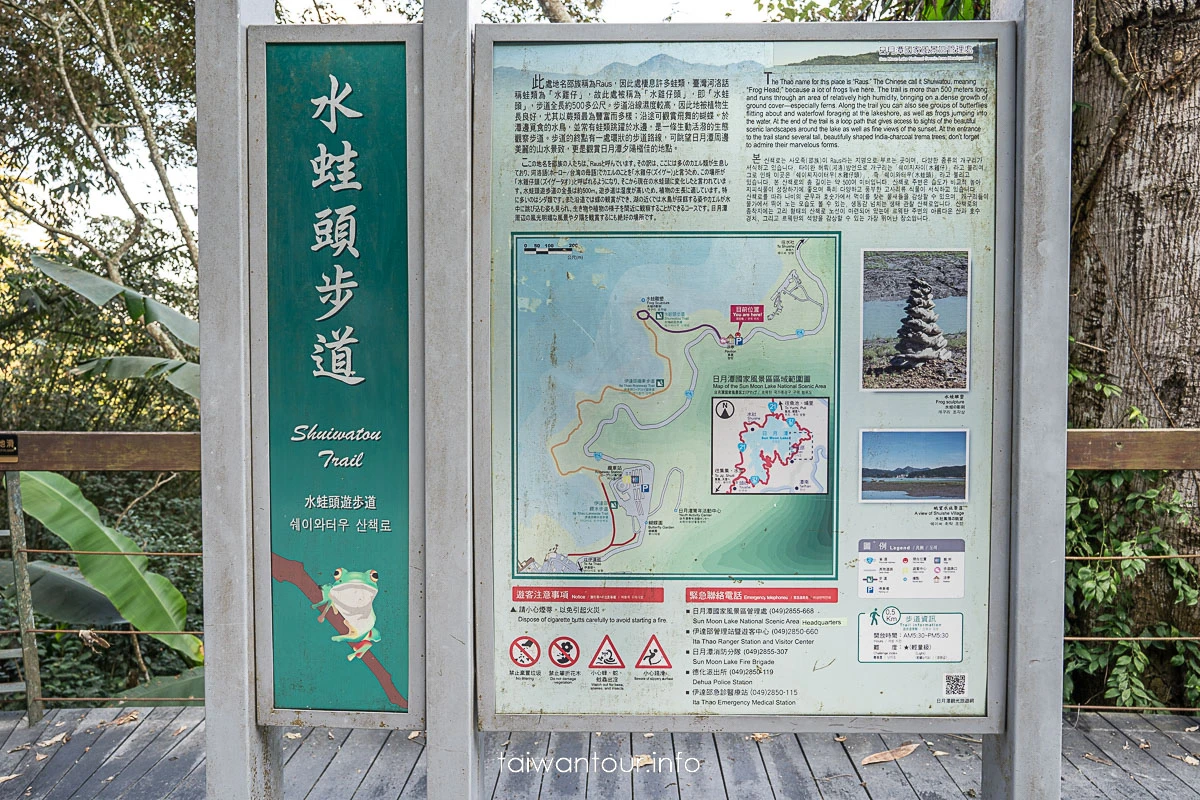 【日月潭水蛙頭步道】看九蛙不用碰運氣!交通、停車、竹林步道秘境與拍照技巧一次看 【日月潭水蛙頭步道】看九蛙不用碰運氣!交通、停車、竹林步道秘境與拍照技巧一次看