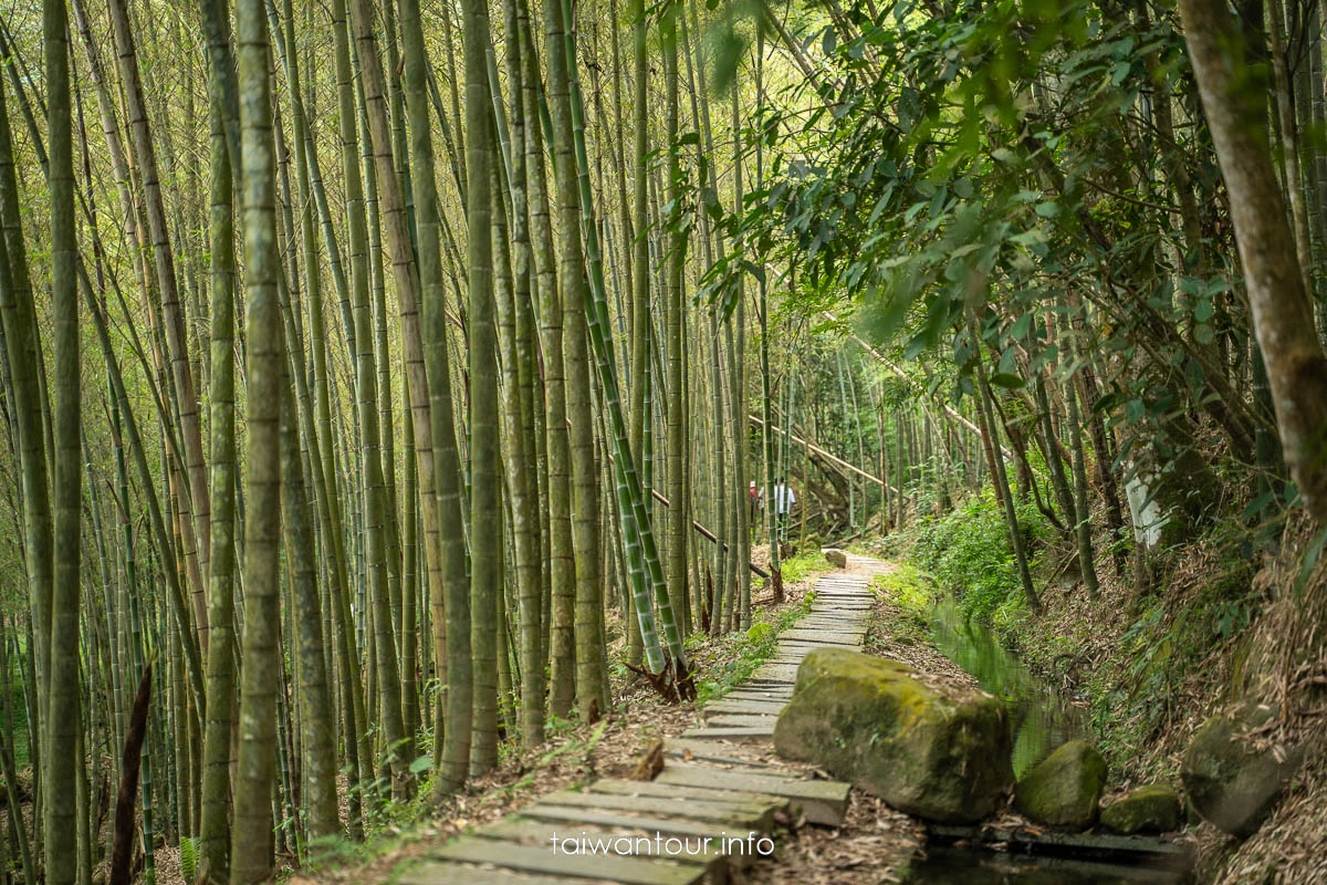 【長源圳生態步道(古道)】南投鹿谷百年水圳步道，竹林、流水與林爽文古戰場