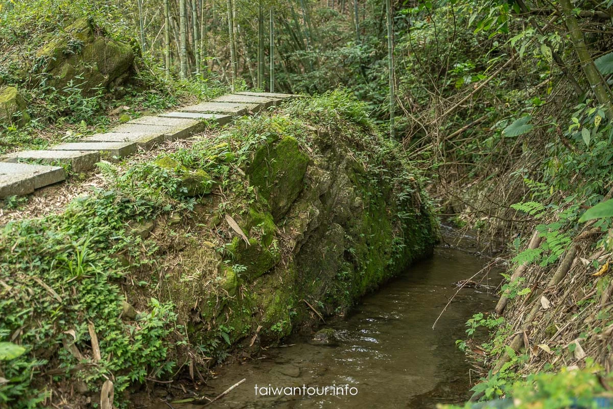【長源圳生態步道(古道)】南投鹿谷百年水圳步道，竹林、流水與林爽文古戰場
