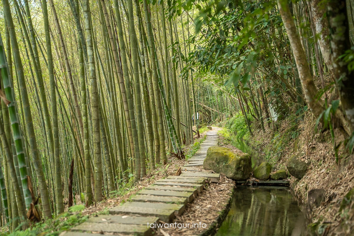 【長源圳生態步道(古道)】南投鹿谷百年水圳步道，竹林、流水與林爽文古戰場