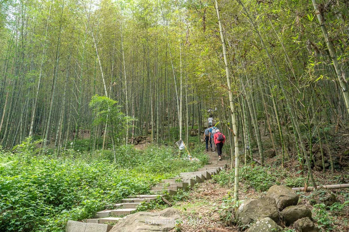 【長源圳生態步道(古道)】南投鹿谷百年水圳步道，竹林、流水與林爽文古戰場