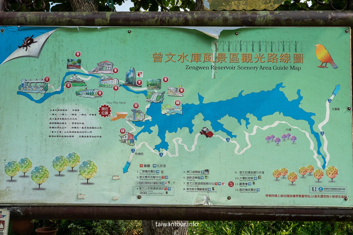【2026曾文水庫觀景樓＆山豬島】台南楠西一日遊！搭豪華遊艇餵山豬、看老鷹秘境與門票交通全攻略