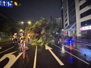 薔琵颱風肆虐樹倒壓車 警消搶救脫困幸無人傷 薔琵颱風肆虐樹倒壓車 警消搶救脫困幸無人傷