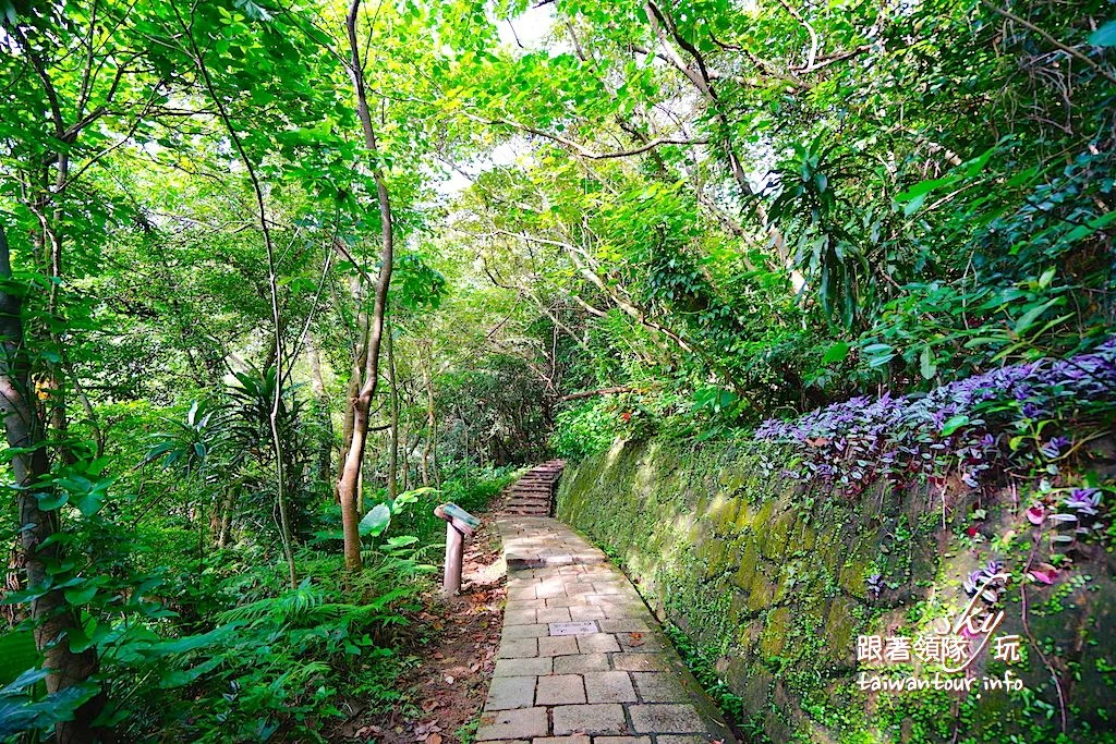 【象山步道】台北景點推薦信義區一線天.大石壁親子步道