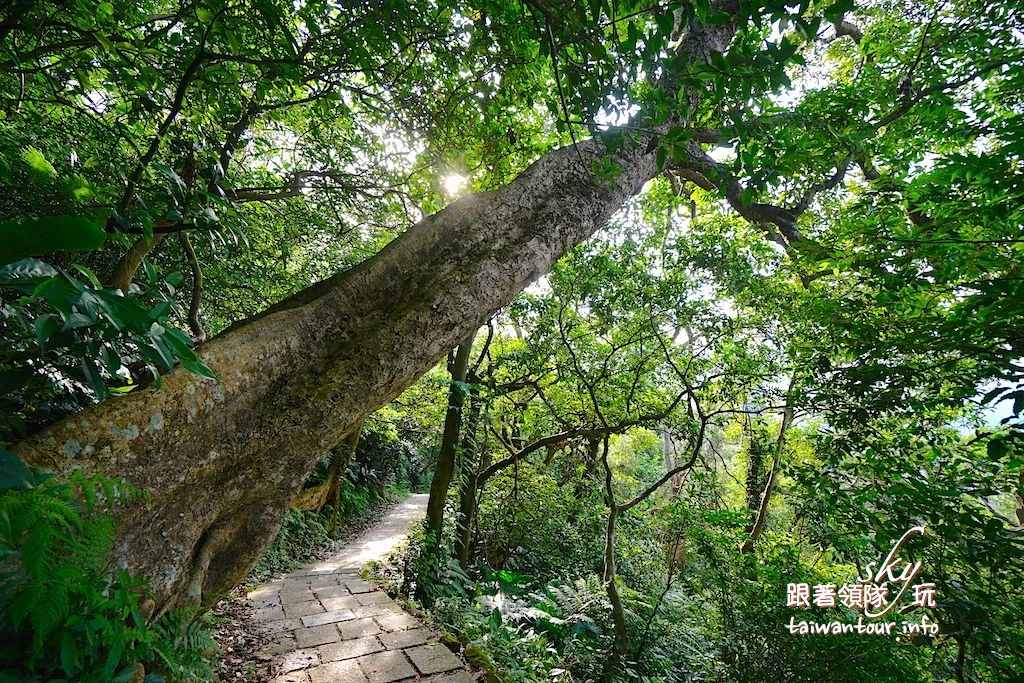 【象山步道】台北景點推薦信義區一線天.大石壁親子步道