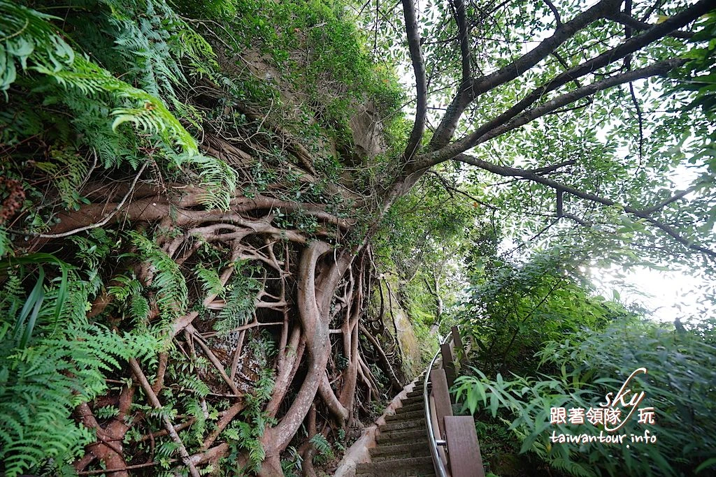【象山步道】台北景點推薦信義區一線天.大石壁親子步道 【象山步道】台北景點推薦信義區一線天.大石壁親子步道