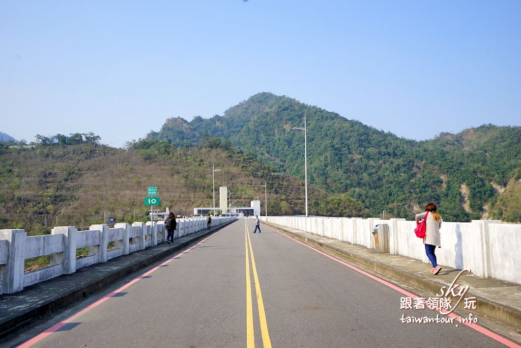 【2026曾文水庫觀景樓＆山豬島】台南楠西一日遊！搭豪華遊艇餵山豬、看老鷹秘境與門票交通全攻略